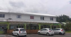 Fond de commerce alimentation générale, Saint Philippe