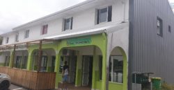 Fond de commerce alimentation générale, Saint Philippe