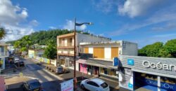 Ensemble immobilier bien situé, Saint Joseph