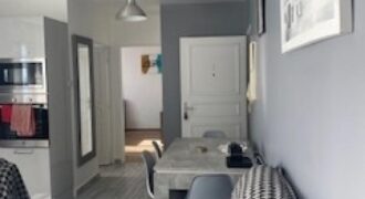 Appartement F2 entièrement rénové, Saint Denis