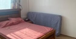 Appartement F2 entièrement rénové, Saint Denis