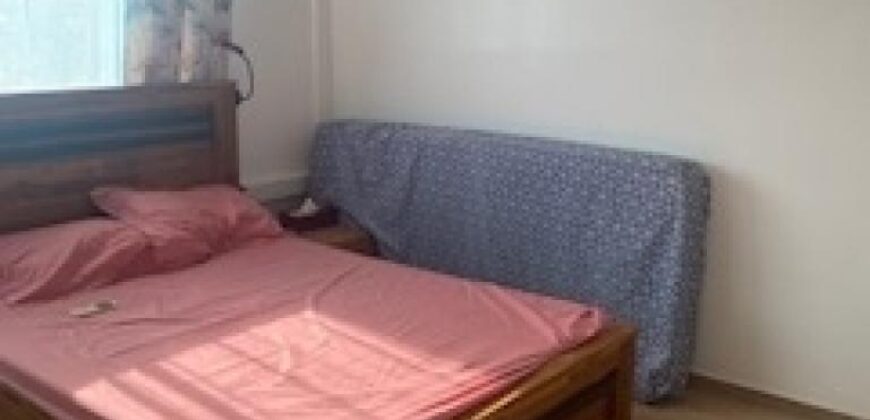Appartement F2 entièrement rénové, Saint Denis