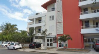 Charmant appartement T2 à vendre implanté en plein cour du centre-ville de Saint leu