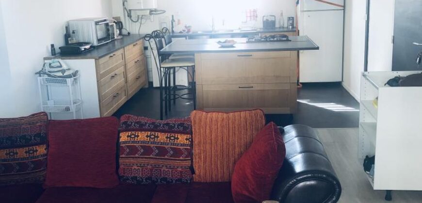 Charmant appartement T3 refaite à neuf, Sainte Marie