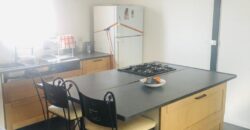 Charmant appartement T3 refaite à neuf, Sainte Marie