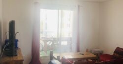Charmant appartement T3 refaite à neuf, Sainte Marie