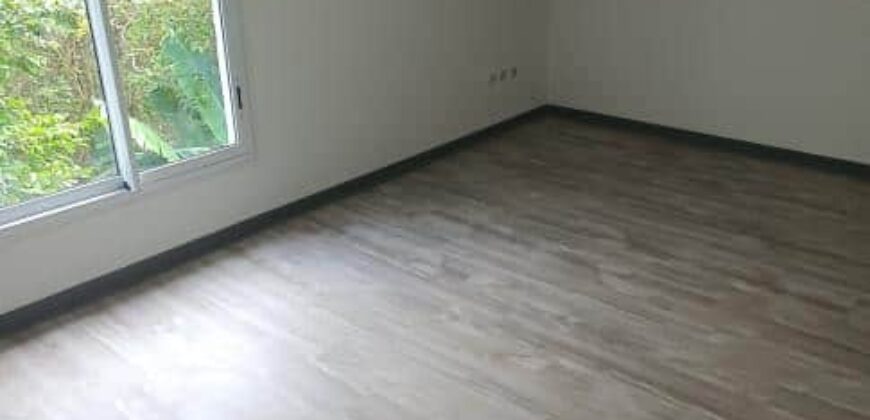Bel appartement T4 refait à neuf, Sainte-Anne