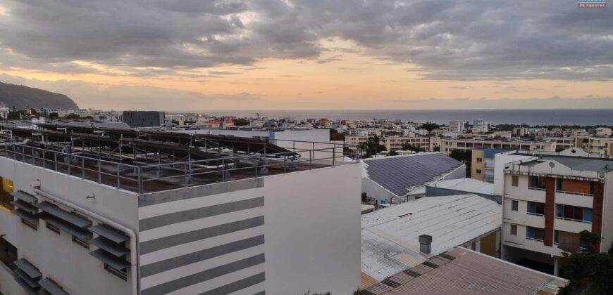 Superbe appartement T2 de 50 m2 proche des universités, Sainte Clotilde