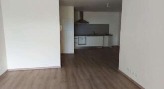 Bel appartement T3 entièrement rénové, Sainte Clotilde