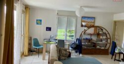 Lumineux appartement en plein centre-ville, Tampon