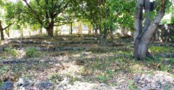 Beau terrain plat constructible, Saint Louis