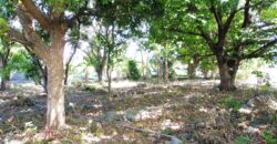 Beau terrain plat constructible, Saint Louis