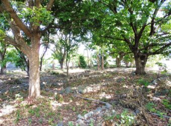 Beau terrain plat constructible, Saint Louis