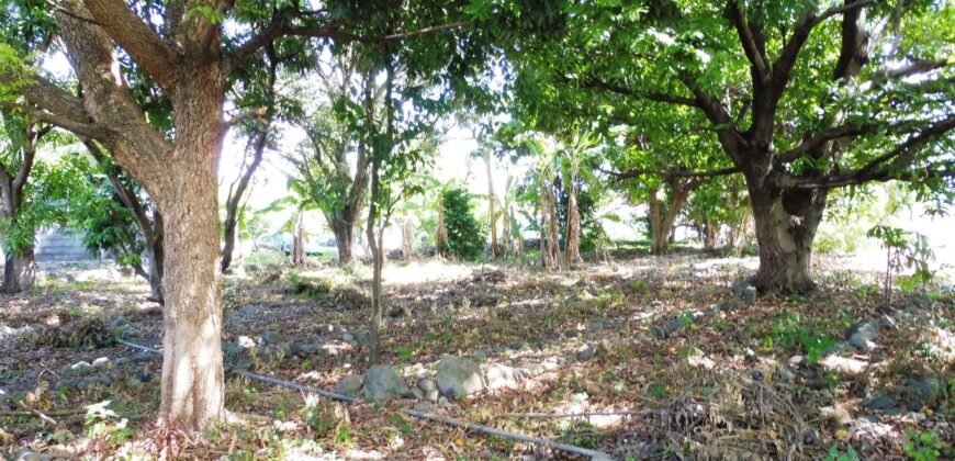 Beau terrain plat constructible, Saint Louis