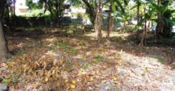 Beau terrain plat constructible, Saint Louis
