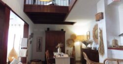Superbe villa de 170 m2 sur 1000 m2 de jardin, Avirons