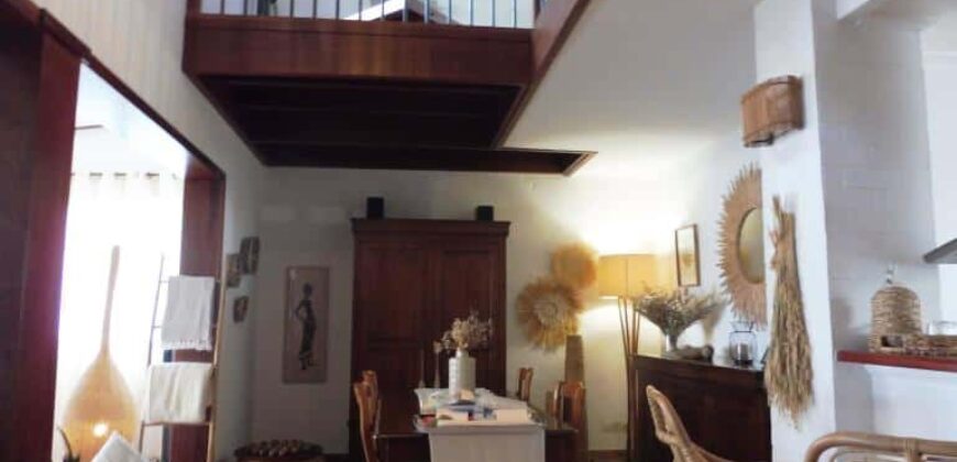 Superbe villa de 170 m2 sur 1000 m2 de jardin, Avirons