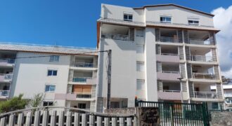 Charmant appartement T2 de 46 m2 avec terrasse, Montgaillard