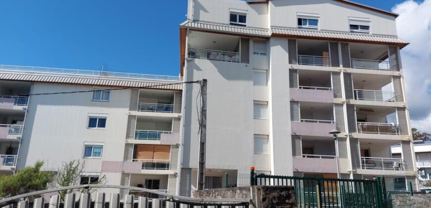 Charmant appartement T2 de 46 m2 avec terrasse, Montgaillard