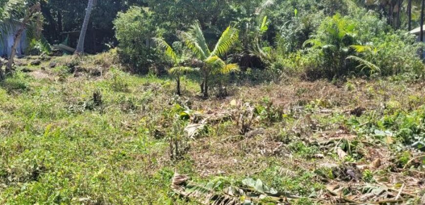 Terrain spacieux de 3 663 M2 dont 1 839 M2 constructibles, Saint-Philippe