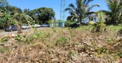 Terrain spacieux de 3 663 M2 dont 1 839 M2 constructibles, Saint-Philippe