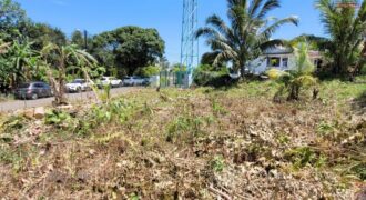 Terrain spacieux de 3 663 M2 dont 1 839 M2 constructibles, Saint-Philippe
