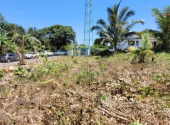 Terrain spacieux de 3 663 M2 dont 1 839 M2 constructibles, Saint-Philippe