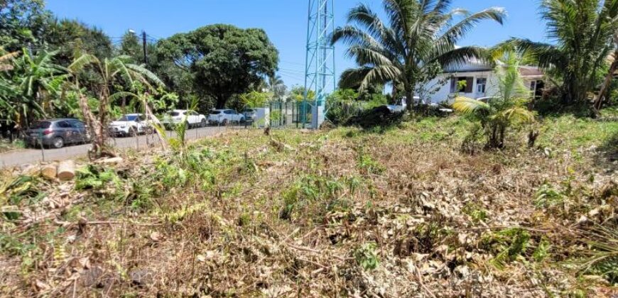 Terrain spacieux de 3 663 M2 dont 1 839 M2 constructibles, Saint-Philippe