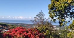 Un terrain agricole à vendre vue mer à Etang Sale
