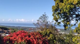 Un terrain agricole à vendre vue mer à Etang Sale