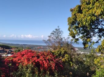 Un terrain agricole à vendre vue mer à Etang Sale