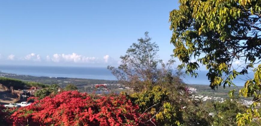 Un terrain agricole à vendre vue mer à Etang Sale