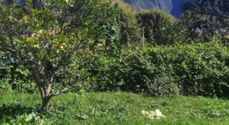 Ensemble immobilier avec jardin et vue montagne à Plaine Des Palmistes