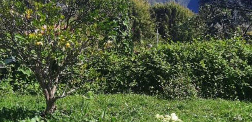 Ensemble immobilier avec jardin et vue montagne à Plaine Des Palmistes