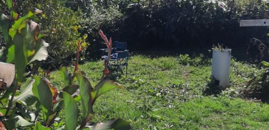 Ensemble immobilier avec jardin et vue montagne à Plaine Des Palmistes