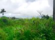 Terrain constructible de 450 m2, Saint Louis