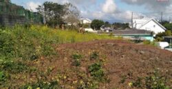 Superbe villa d’environ 60 m2 avec un jardin arboré, Plaine des Palmiste