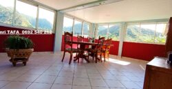 À vendre charmante villa F6 avec piscine et vue panoramique sur les montagnes de la Plaine des Grègues