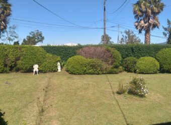 A vendre une villa T4 rénovée avec un très beau jardin clôturé et arboré à La Plaine des Cafres