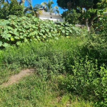 A vendre un très beau terrain plat d’environ 450 m² au Tampon Trois Mares