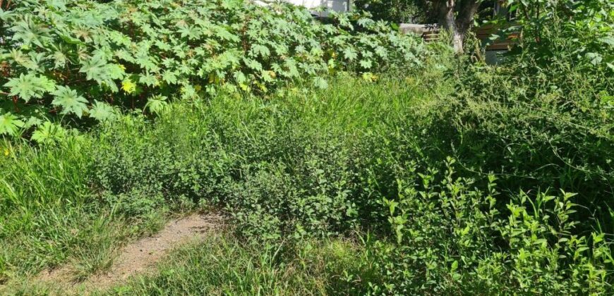 A vendre un très beau terrain plat d’environ 450 m² au Tampon Trois Mares