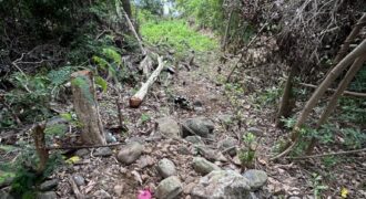 A vendre terrain plat d’environ 850 m2 situé dans le secteur Le Ouaki à La Rivière
