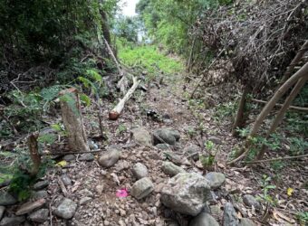 A vendre terrain plat d’environ 850 m2 situé dans le secteur Le Ouaki à La Rivière