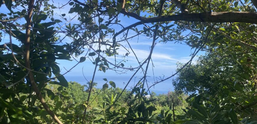 A vendre: Terrain de 1012m2 offrant vue sur mer à Bois Rouge- Saint Paul