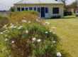 A louer une villa meublée de 84m2 sur un vaste terrain de 700m2 à Plaines des Cafres