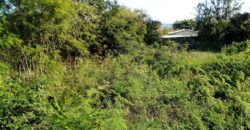 En vente un terrain plat constructible de 882 m2 situé dans le quartier calme de Piton à Saint Leu