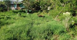 En vente un terrain plat constructible de 882 m2 situé dans le quartier calme de Piton à Saint Leu