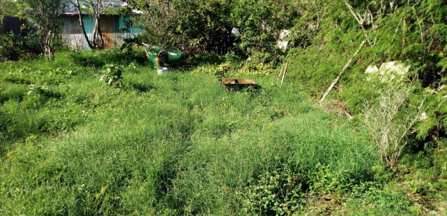 En vente un terrain plat constructible de 882 m2 situé dans le quartier calme de Piton à Saint Leu