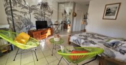 A vendre un charmant studio rénové à deux plages au coeur de la station balnéaire de Boucan Canot