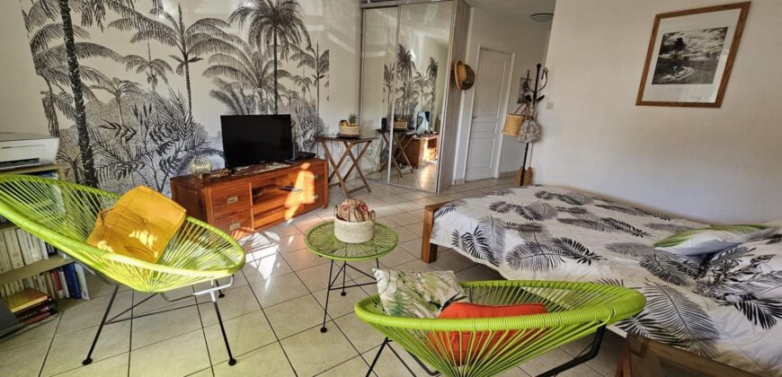 A vendre un charmant studio rénové à deux plages au coeur de la station balnéaire de Boucan Canot